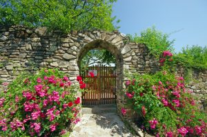 Ancient wall with flowers (Humor Monastery in Moldavia)